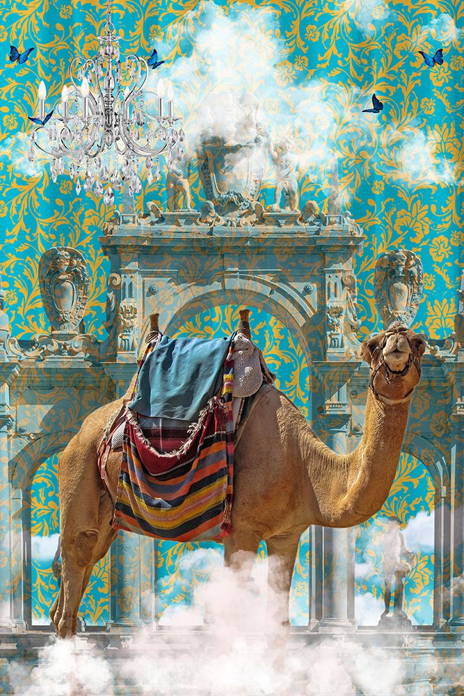 Camel Adventures art print by Sue Skellern for $57.95 CAD