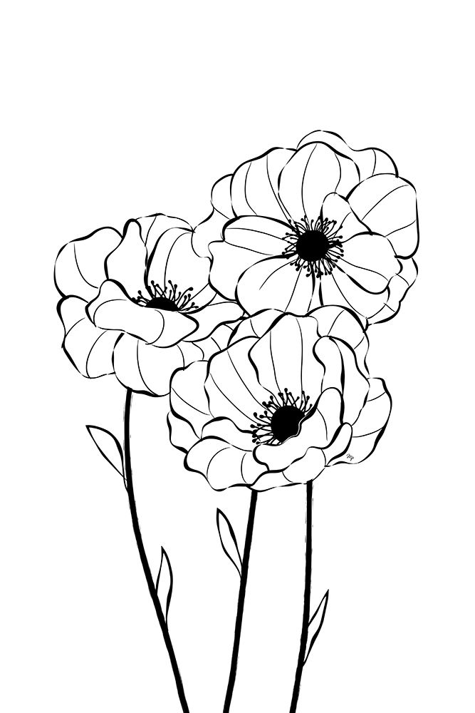 Poppies art print by Martina for $57.95 CAD