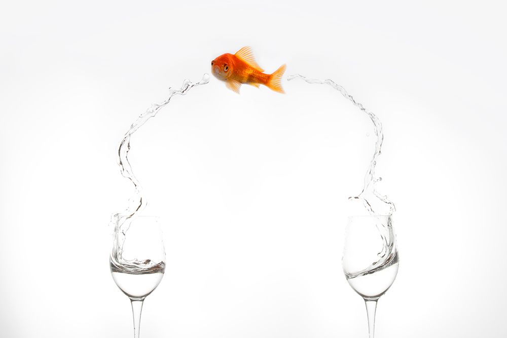 Jump! art print by Jose Beut for $57.95 CAD