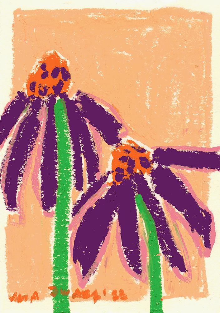 Echinacea art print by Ania Zwara for $57.95 CAD