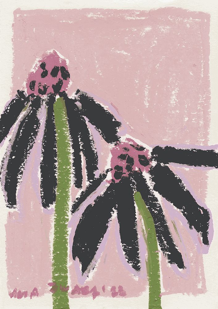 Echinacea   Pale art print by Ania Zwara for $57.95 CAD