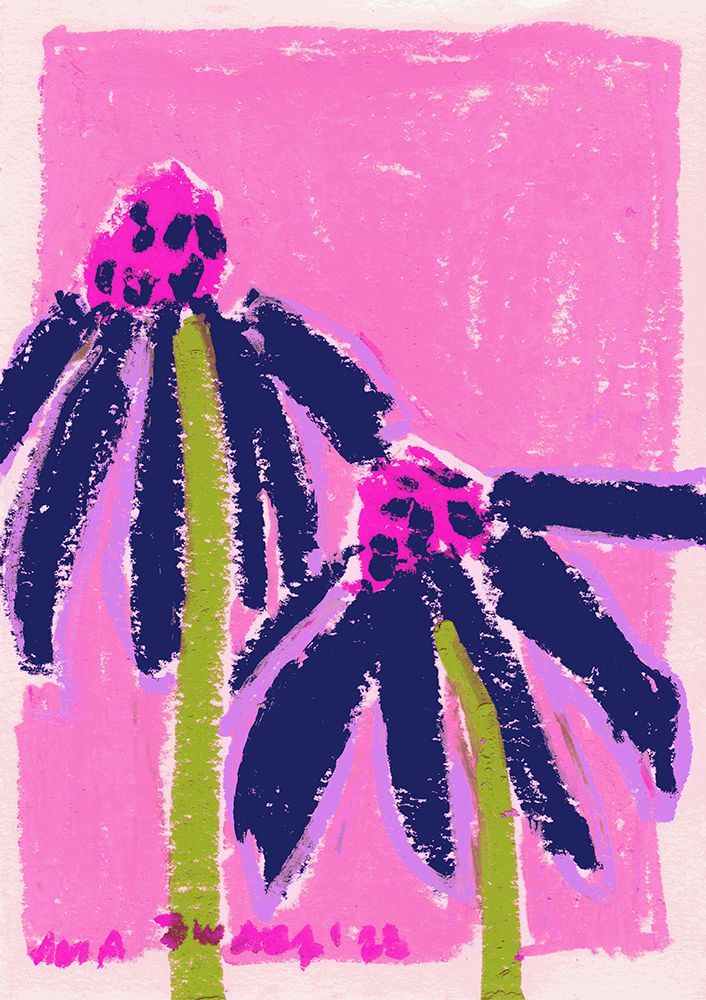 Echinacea   Pink art print by Ania Zwara for $57.95 CAD