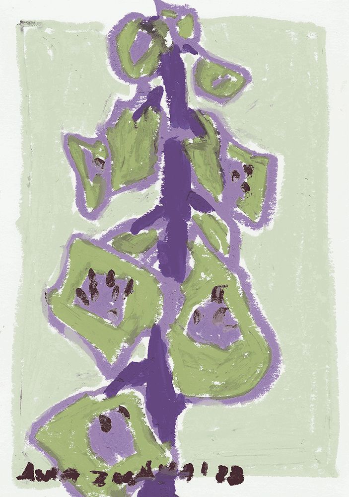 Foxgloves Pale art print by Ania Zwara for $57.95 CAD