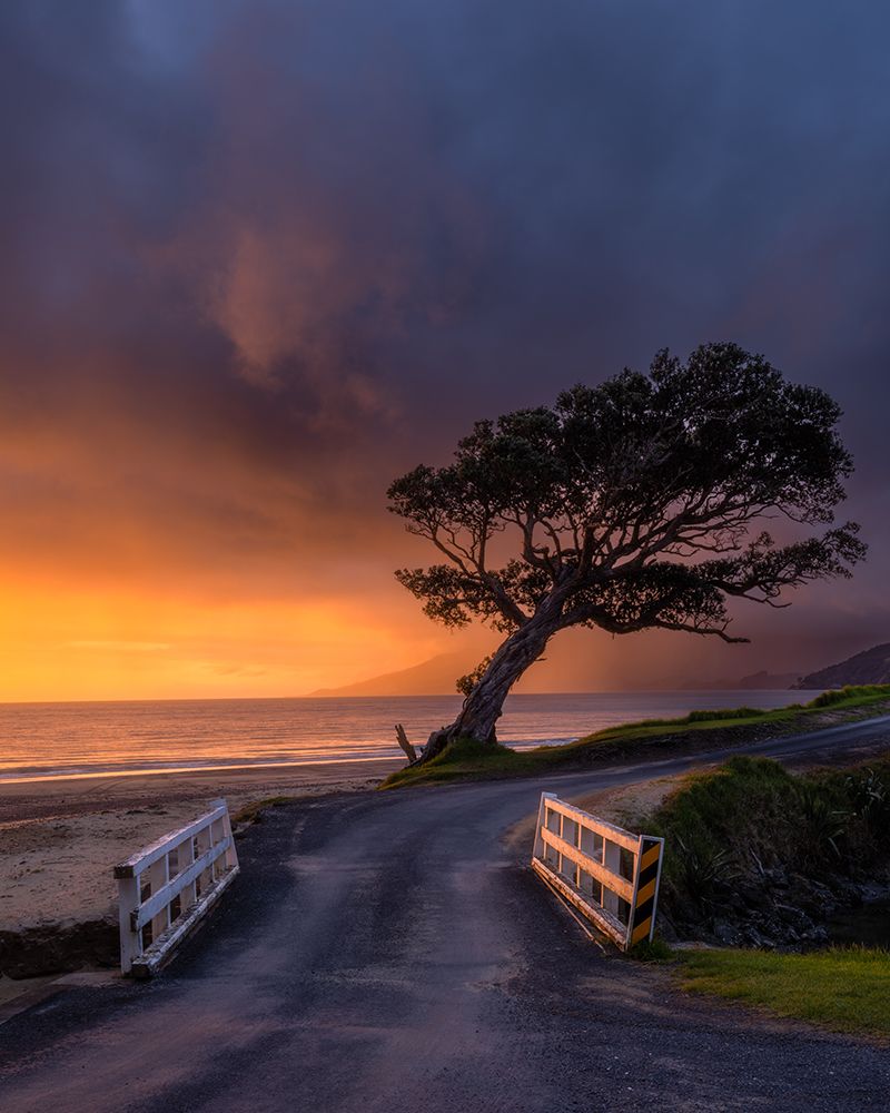 A Tree And A Bridge art print by Jarred Wilson for $57.95 CAD