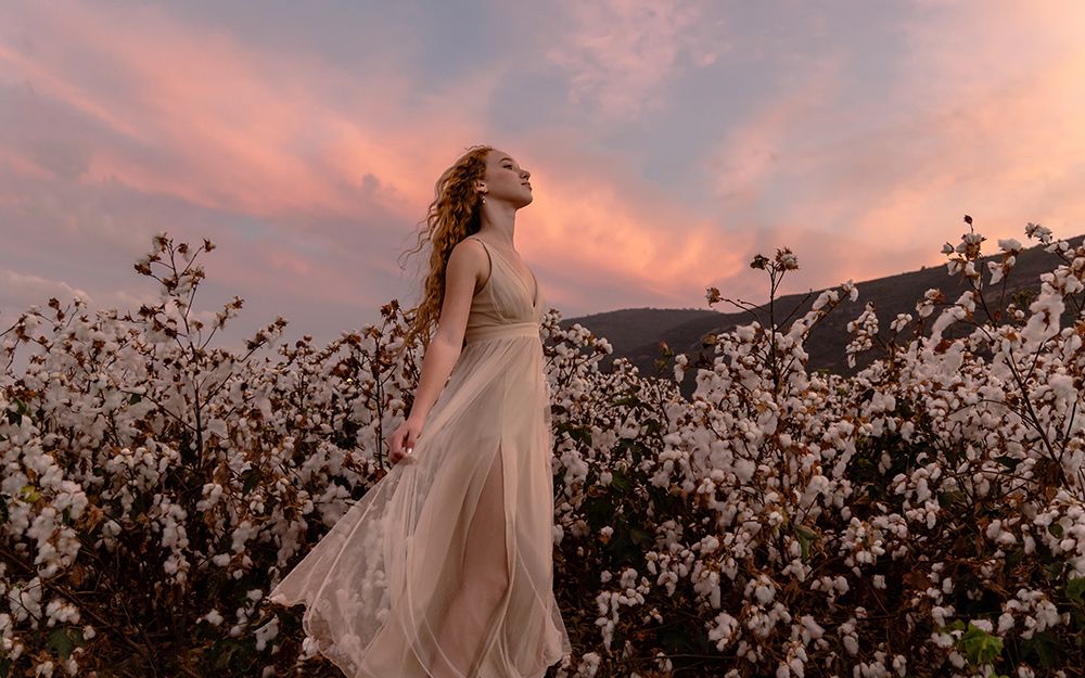 Sunset In The Cotton Field art print by Gila Koller for $57.95 CAD