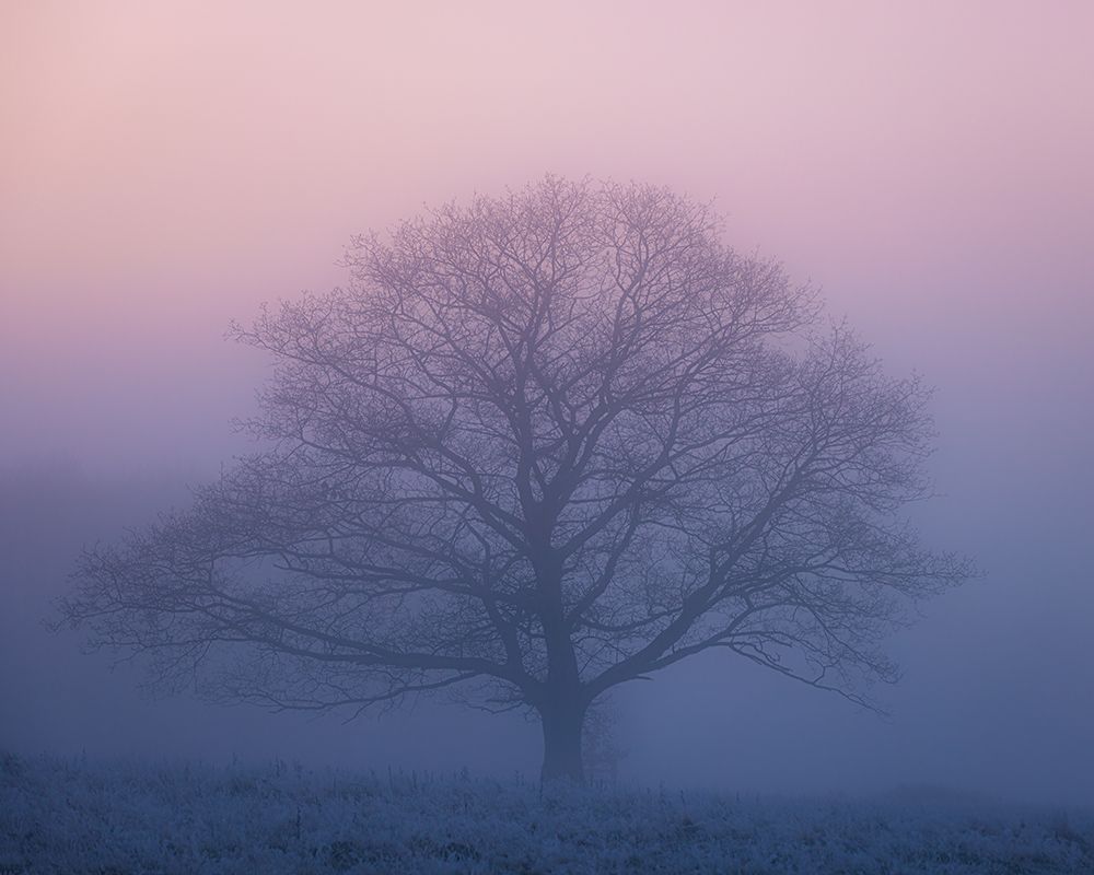 Before Sunrise art print by Kutub Uddin for $57.95 CAD