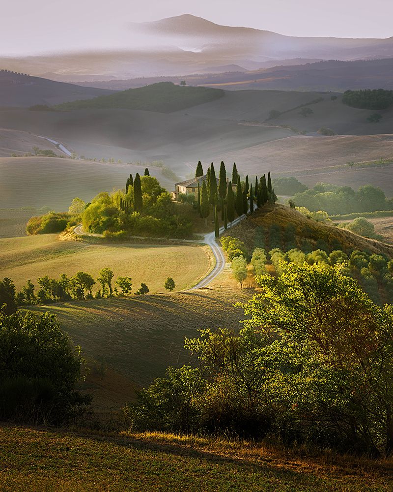Spring art print by Wim Denijs for $57.95 CAD