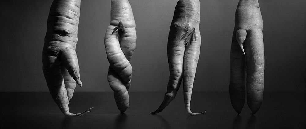 A Still Life With Carrots. Nothing Else... art print by Victoria Glinka for $57.95 CAD