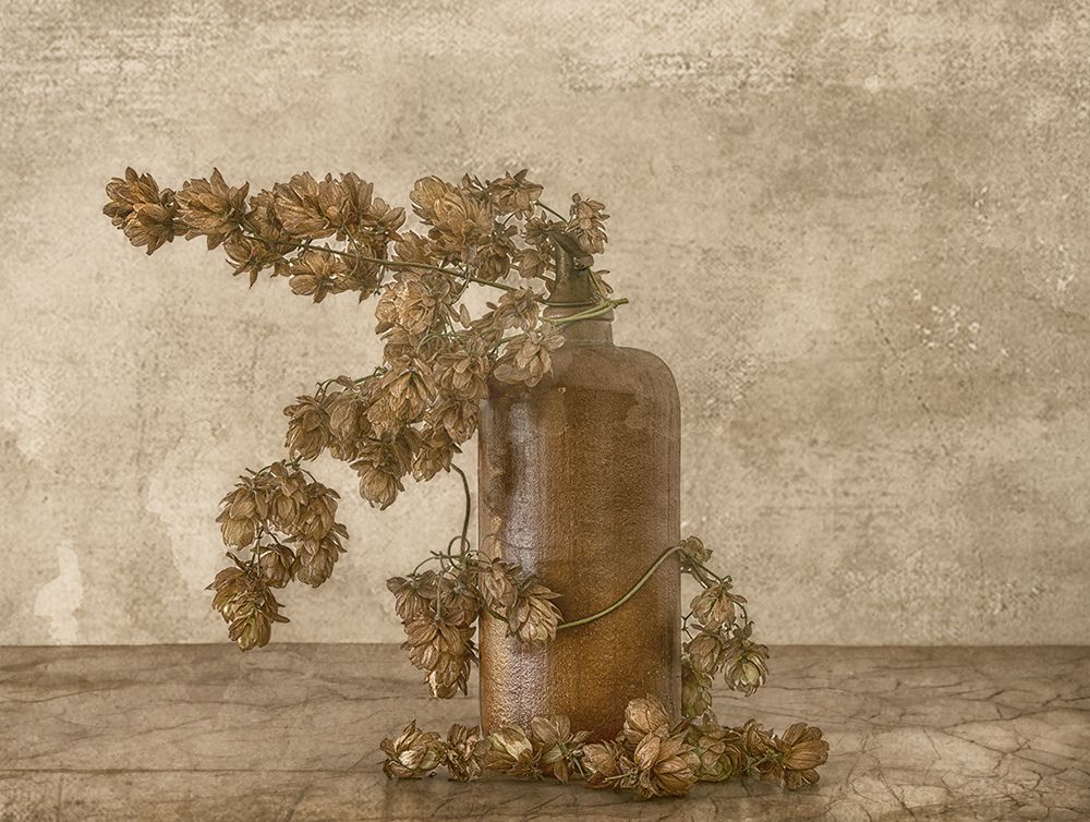 Common Hop 2 art print by Marie-Anne Stas for $57.95 CAD