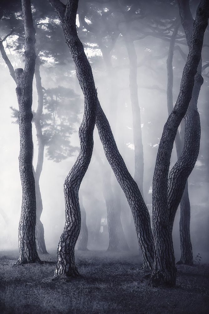 Wave In Fog art print by Tiger Seo for $57.95 CAD
