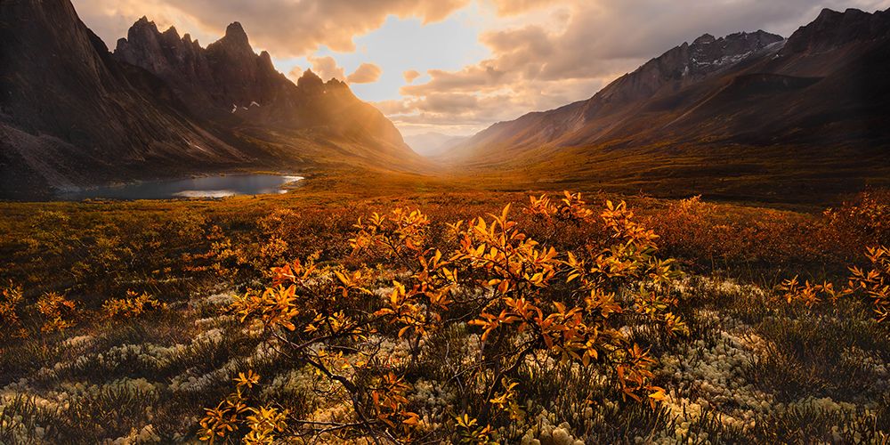 Wild Mountain Sunset art print by Jennie Jiang for $57.95 CAD