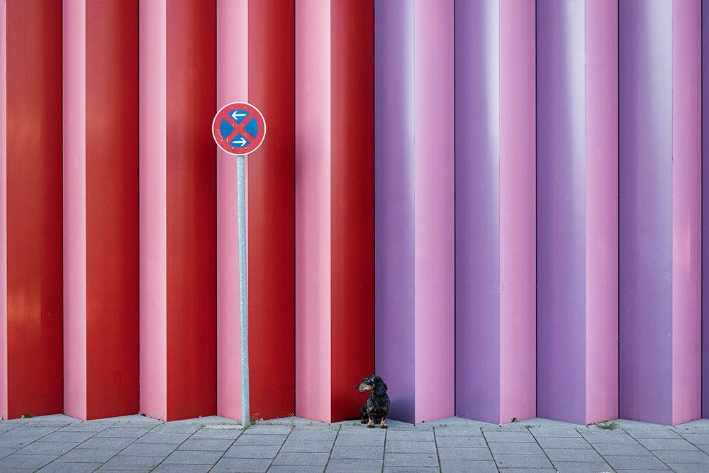 No Parking art print by Heike Willers for $57.95 CAD