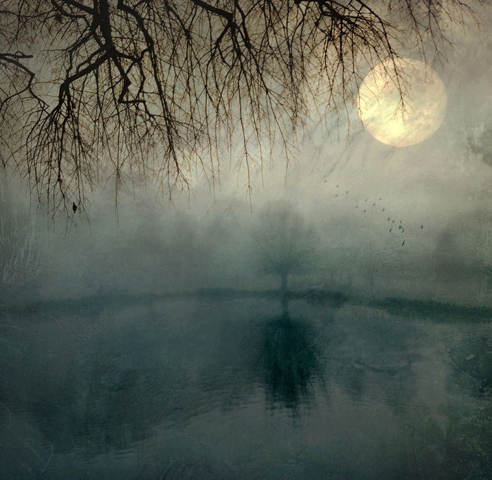 Some Mornings... art print by Robert Fabrowski for $57.95 CAD