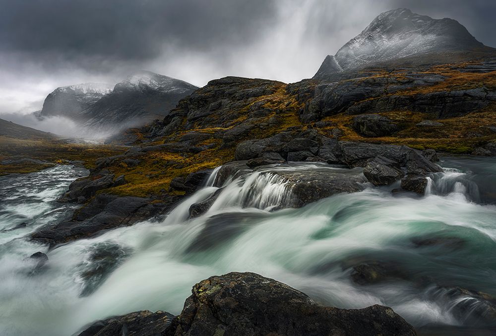 Three Tops art print by Ole Henrik Skjelstad for $57.95 CAD