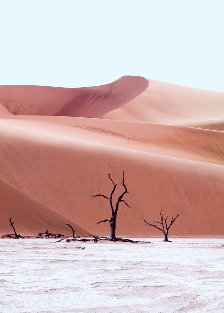 Ancient Forest Namibia art print by Al Barizi for $57.95 CAD