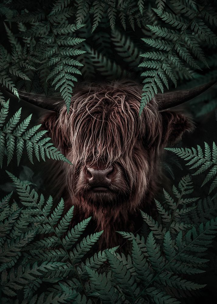 Yak Cow art print by Al Barizi for $57.95 CAD