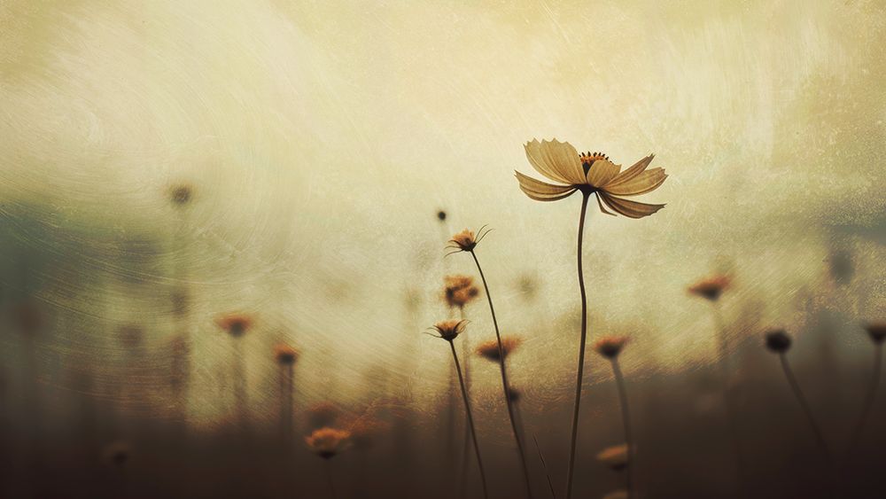 Nostalgic Nature No 1 art print by Treechild for $57.95 CAD
