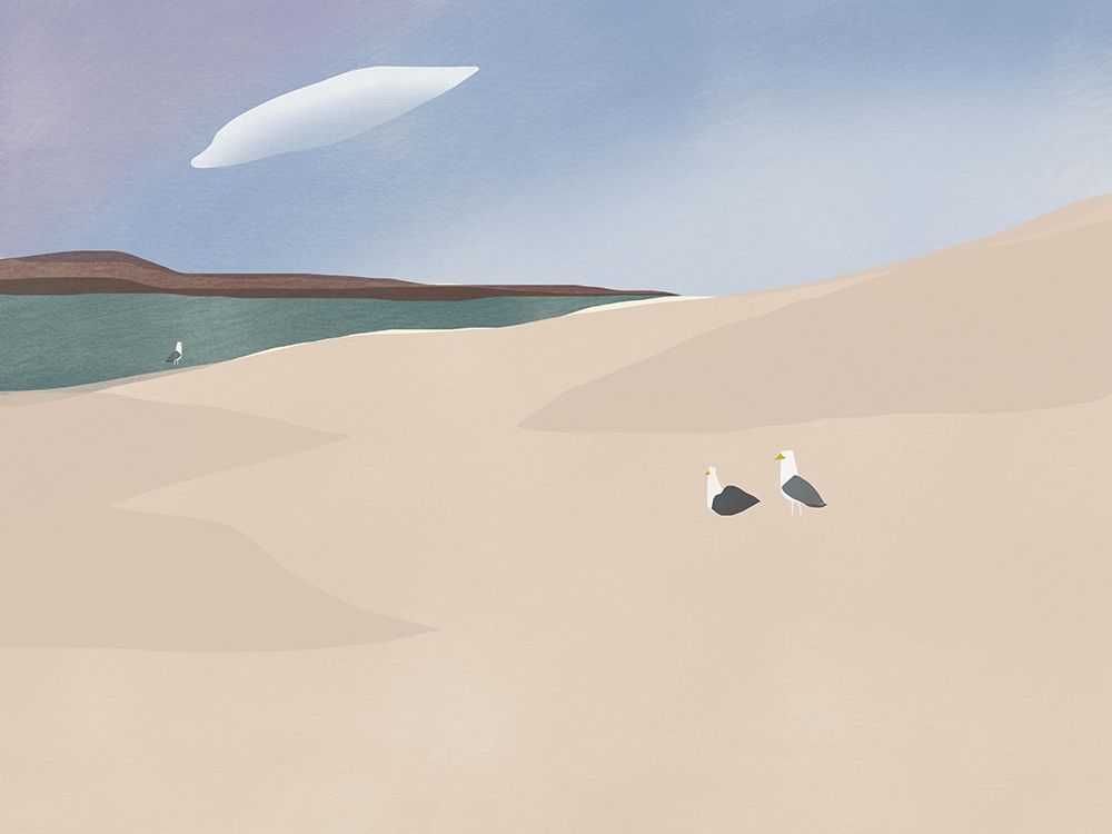 Seagull Family art print by Little Dean for $57.95 CAD