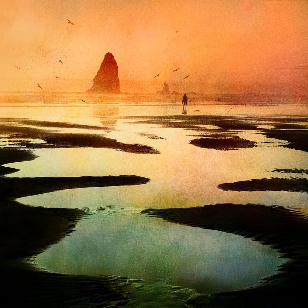 Not Alone At The Beach art print by Shenshen Dou for $57.95 CAD