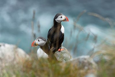 One Step Further by Caroline Wirtz