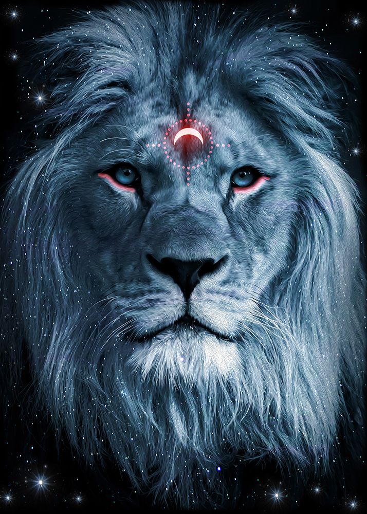 Lion Darkness art print by Al Barizi for $57.95 CAD