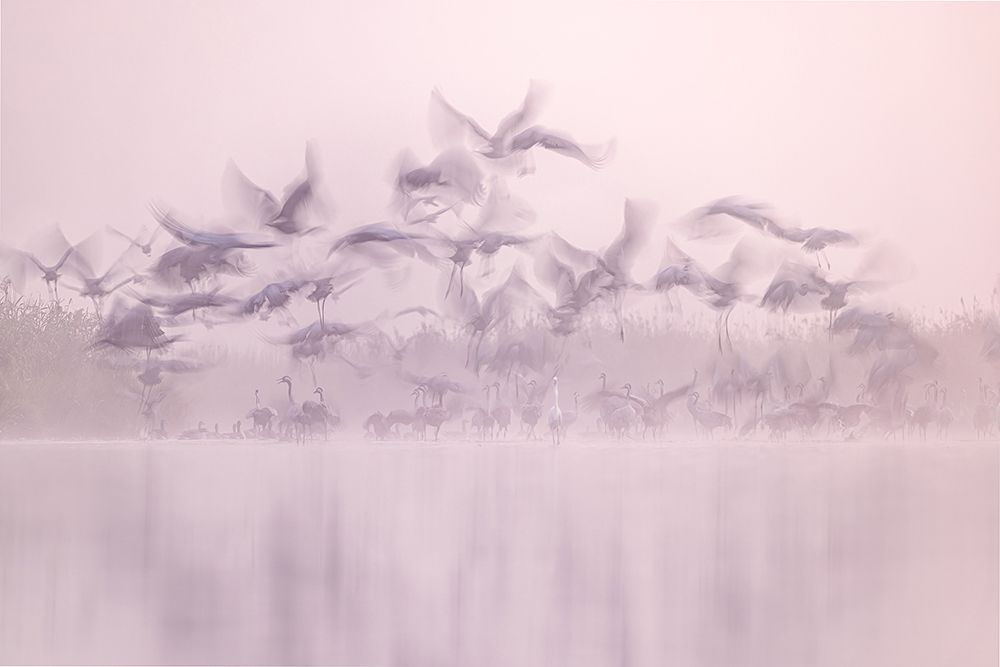 Ghosts art print by Rafal R. Nebelski for $57.95 CAD