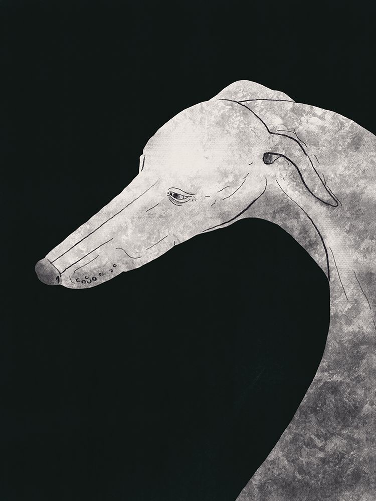 Greyhound Black And White 02 art print by Little Dean for $57.95 CAD