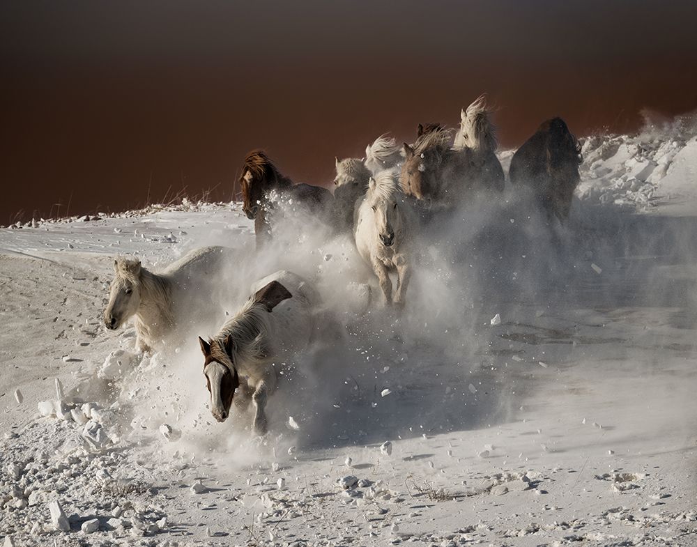 Running Horses art print by Chuanxu Ren for $57.95 CAD