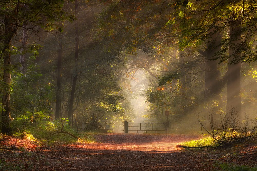 My playground art print by Daan de Vos for $57.95 CAD
