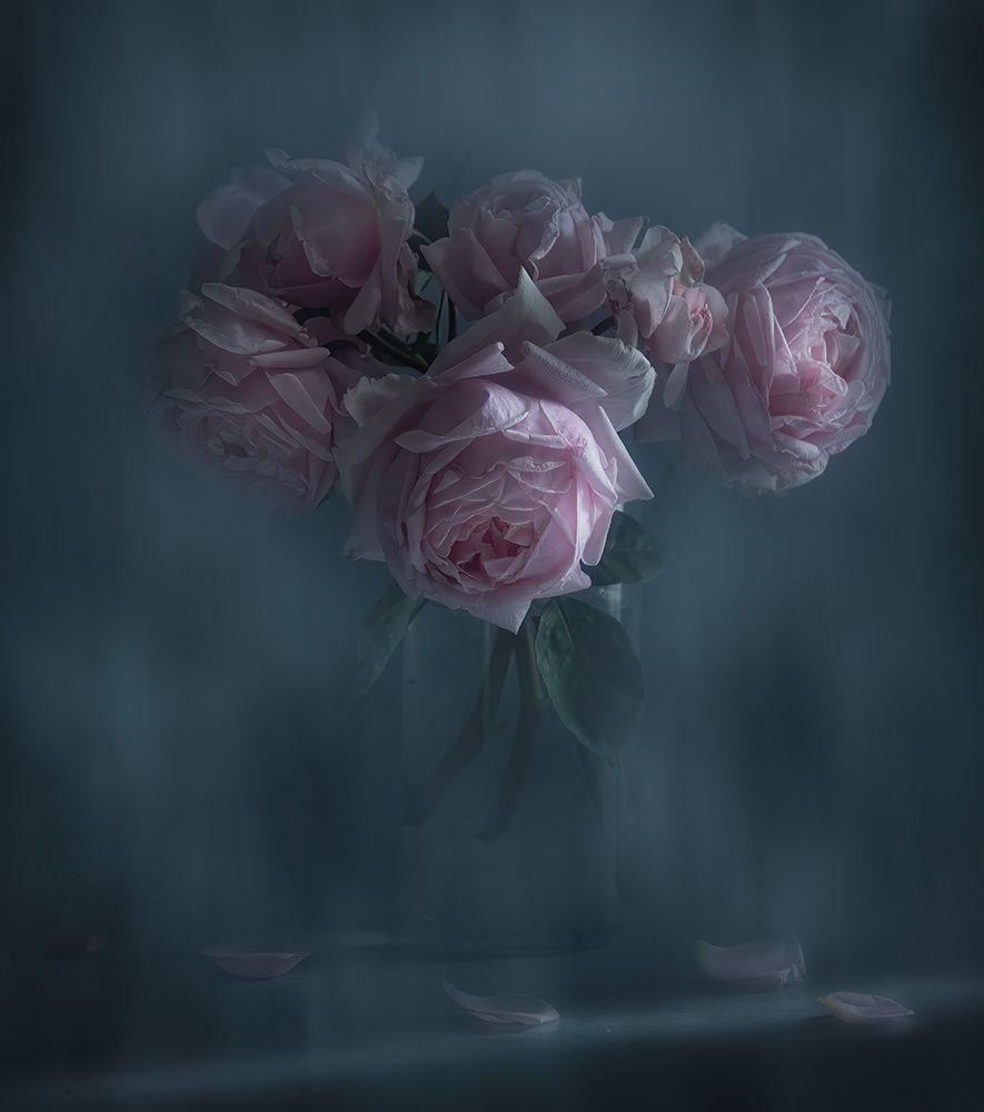 Untitled art print by Judy Tseng for $57.95 CAD