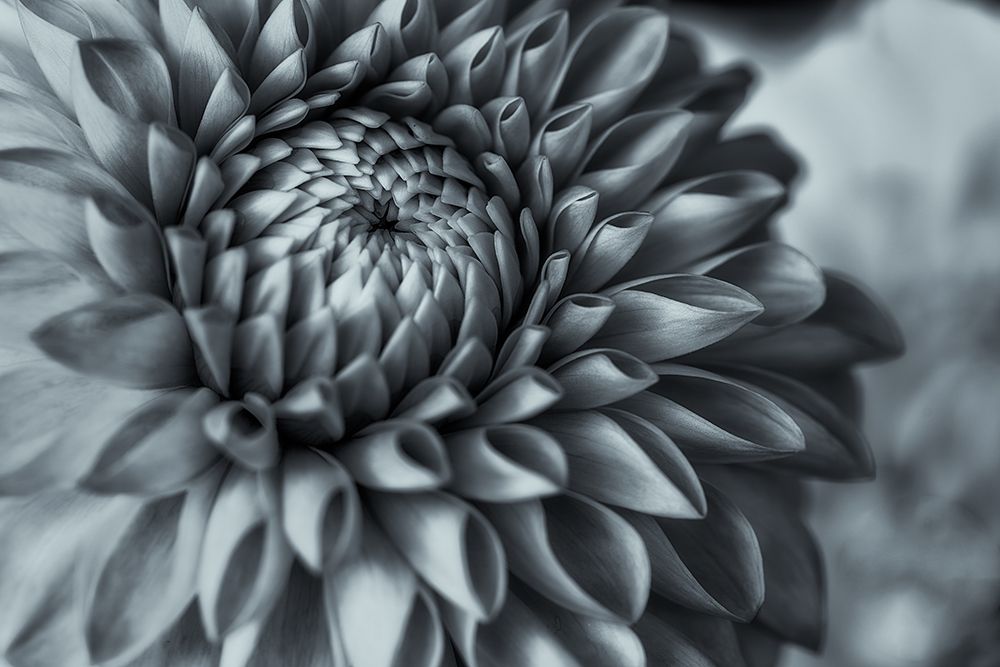 The Beauty Of Darkness art print by Satoshi Hatsumori for $57.95 CAD