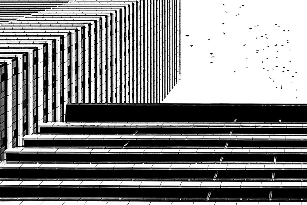 Untitled art print by Amir Ali Navadeh for $57.95 CAD