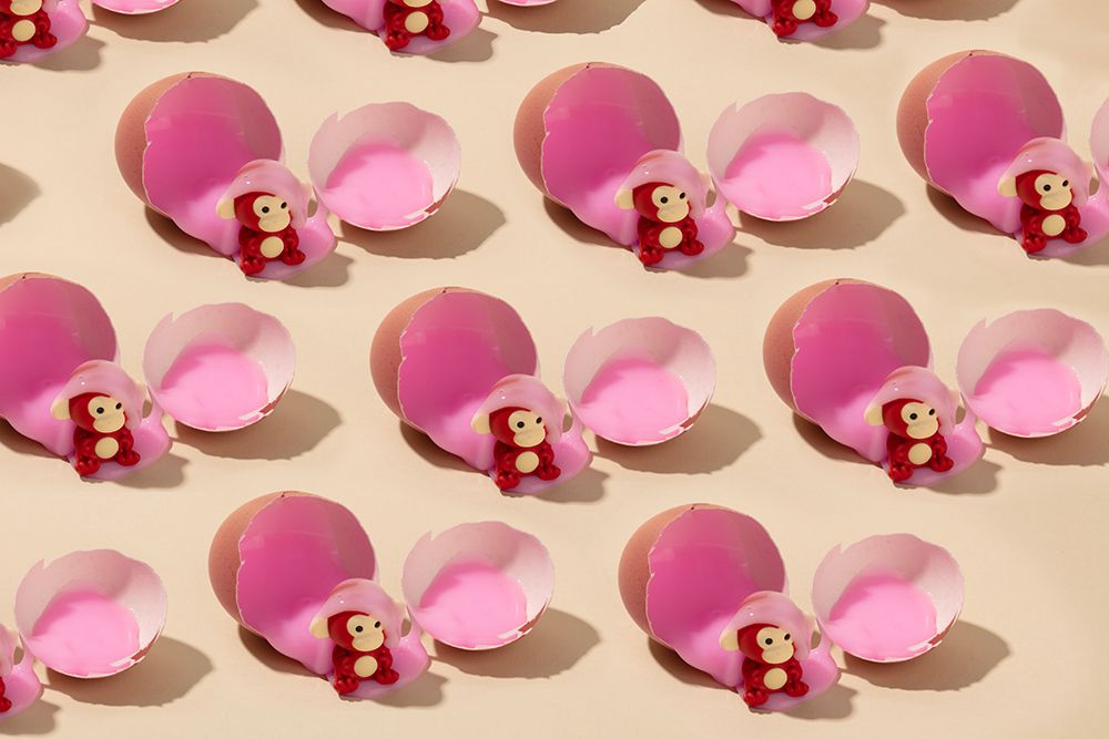 Monkey Hatching art print by Julia Ramiro for $57.95 CAD