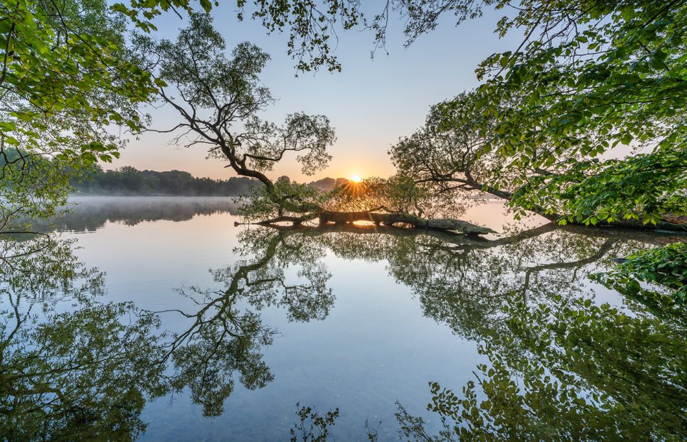 Morning Stillness art print by Keller for $57.95 CAD