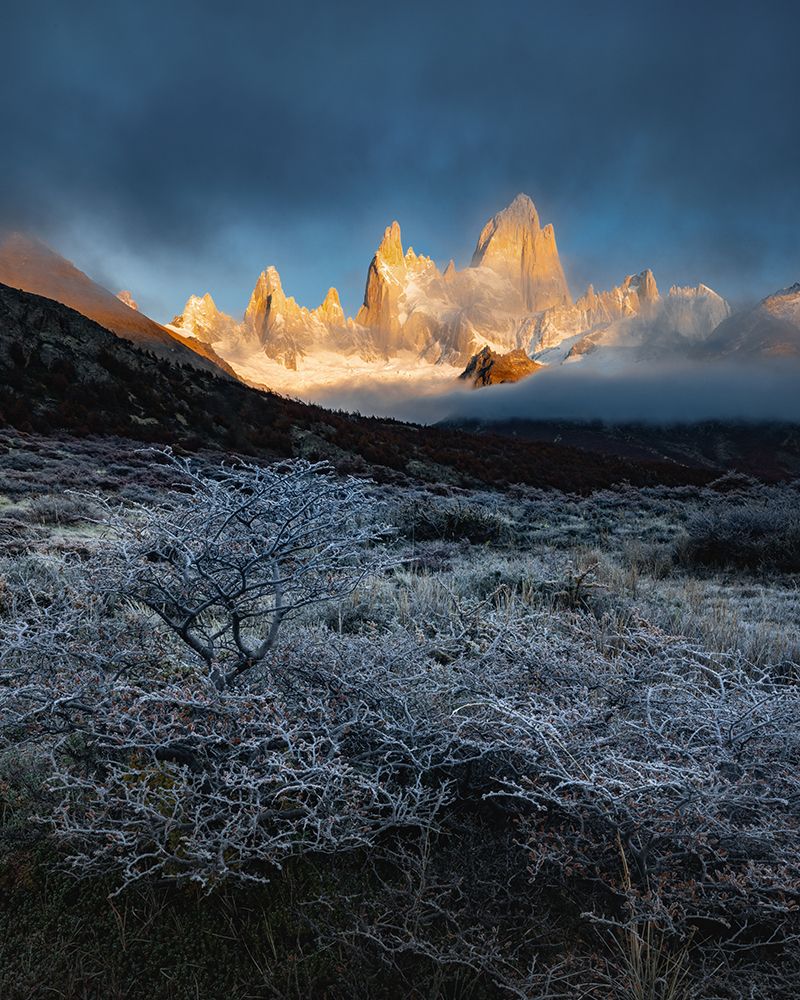 Frost Morning art print by Li Ying for $57.95 CAD