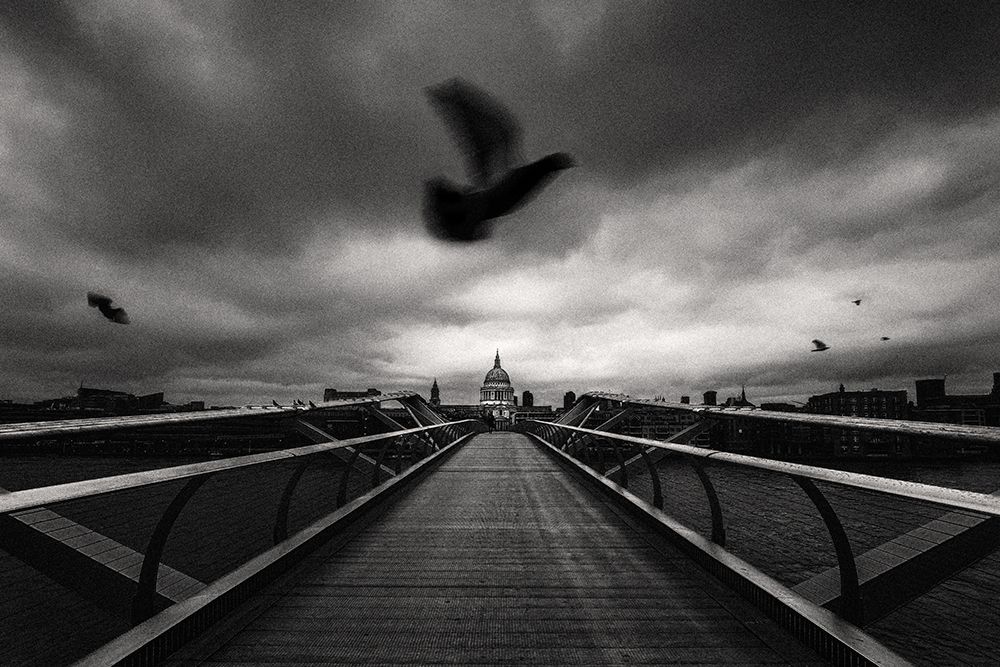 Yearning For Peace art print by Steven Zhou for $57.95 CAD