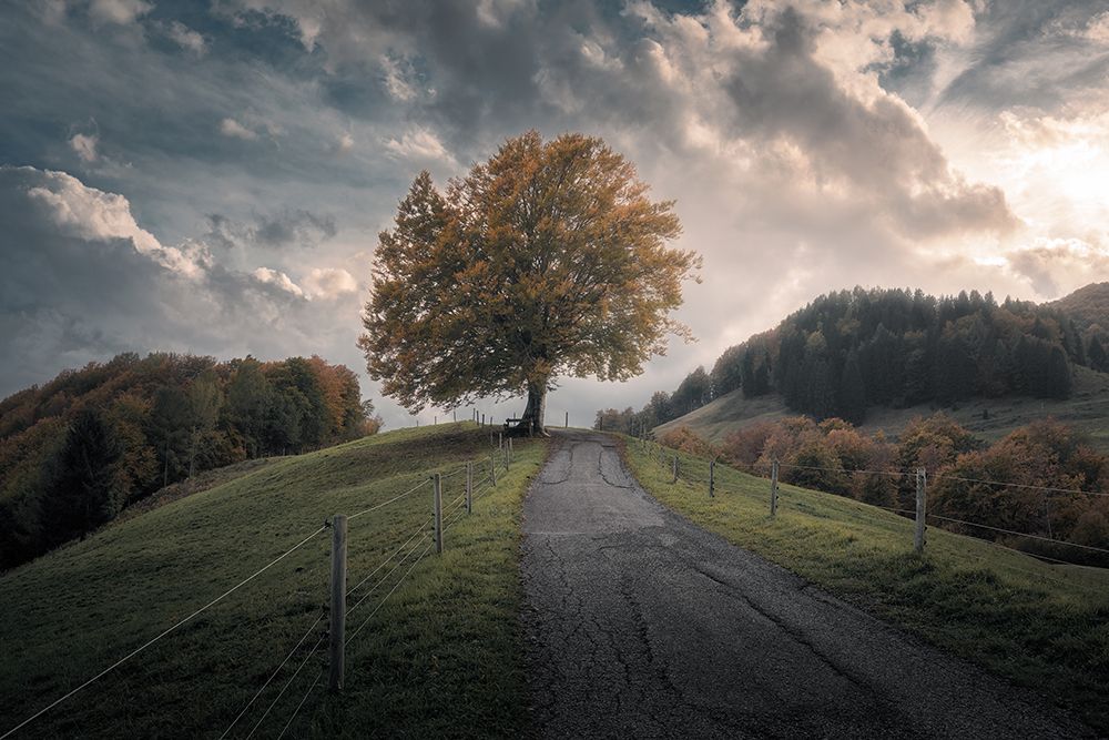 Time After Time art print by Thomas De Franzoni for $57.95 CAD