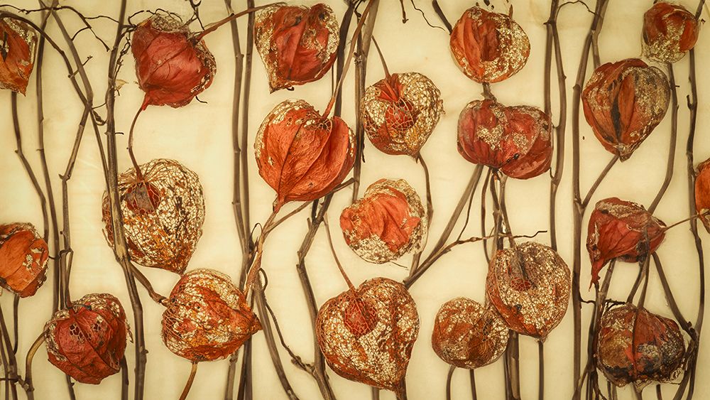 Gathering art print by Marie-Anne Stas for $57.95 CAD