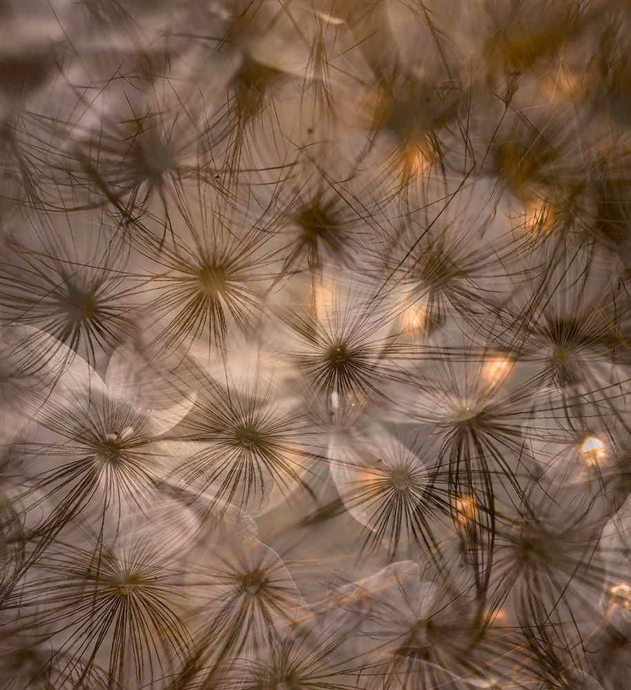 New World art print by Foto Tinca for $57.95 CAD