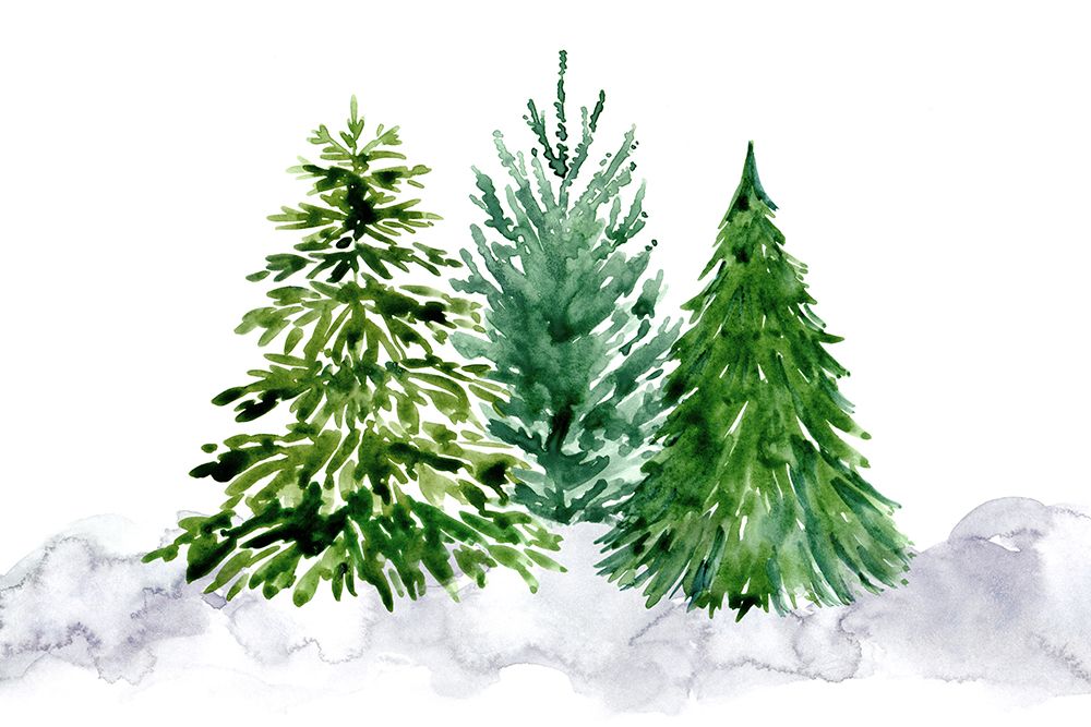 Three watercolor pine trees art print by Rosana Laiz Blursbyai for $57.95 CAD