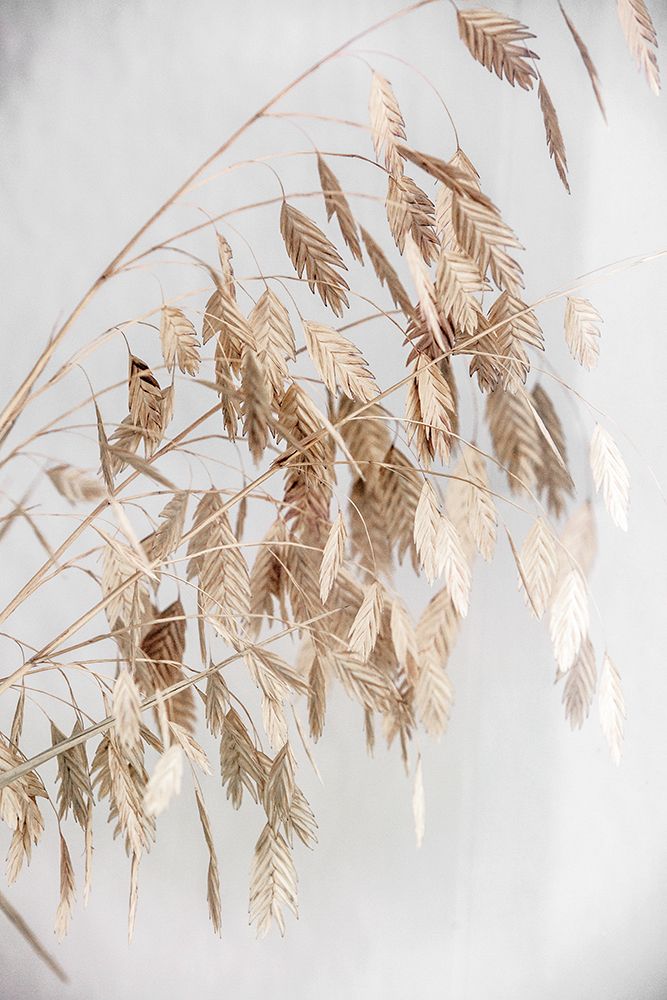 Unknown 4 art print by Mareike Bohmer for $57.95 CAD