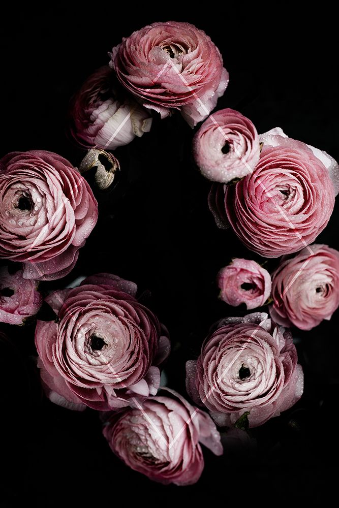 Blooming Geometry 1 art print by Mareike Bohmer for $57.95 CAD