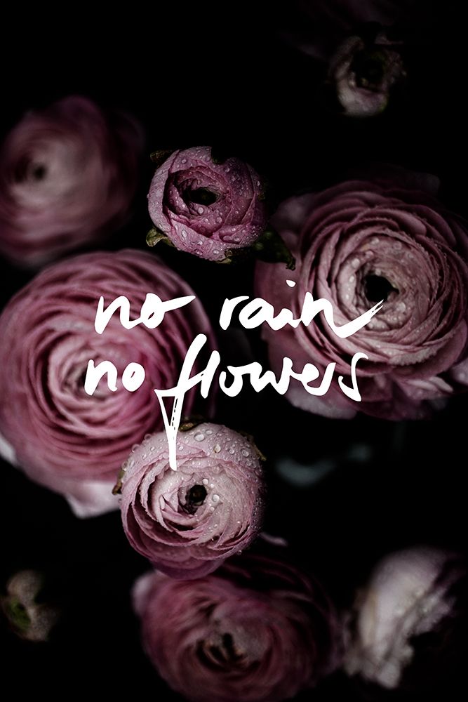 No Rain No Flowers 2 art print by Mareike Bohmer for $57.95 CAD