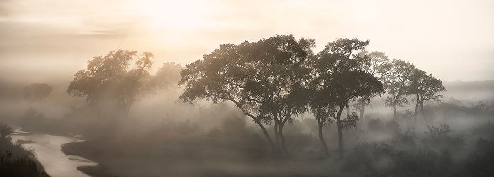 Savana Sunrise art print by Nicola Molteni for $57.95 CAD