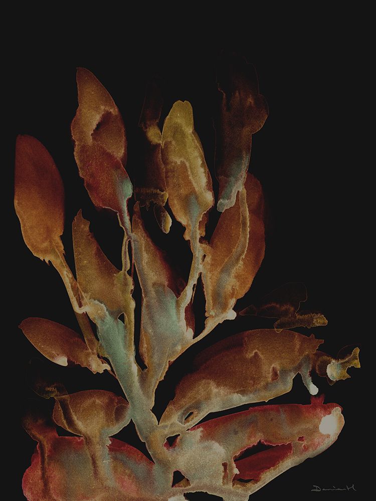 Night Plant art print by Dan Hobday for $57.95 CAD