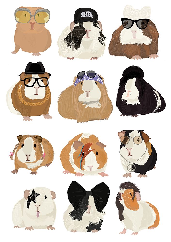 Music Guineapig art print by Hanna Melin for $57.95 CAD
