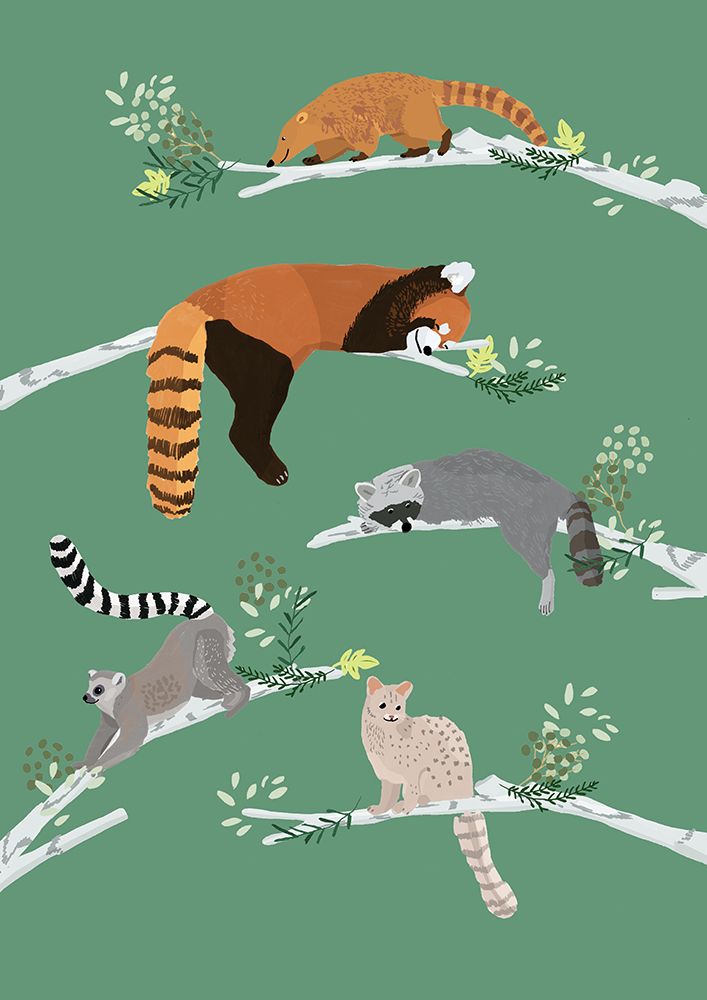 Sleeping Racoon art print by Hanna Melin for $57.95 CAD