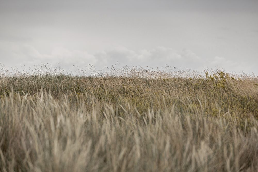 Dunes And Clouds 2 art print by Mareike Bohmer for $57.95 CAD