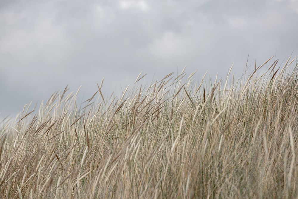 Dunes And Clouds art print by Mareike Bohmer for $57.95 CAD