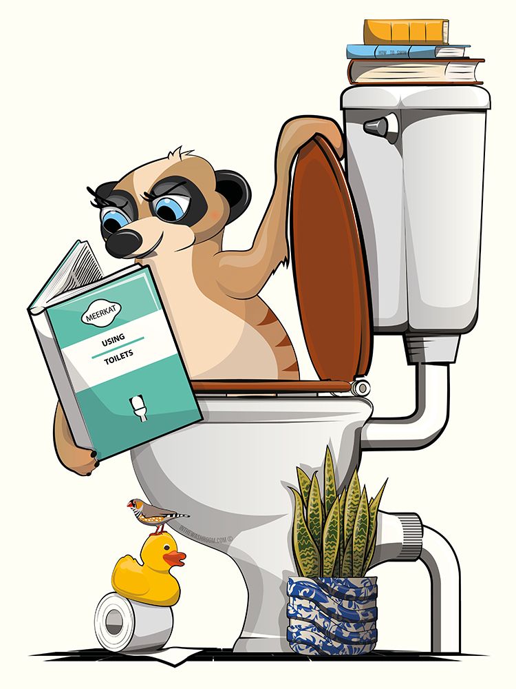 18x24 Inch Meerkat In Toilet art print by In The Washroom for $57.95 CAD